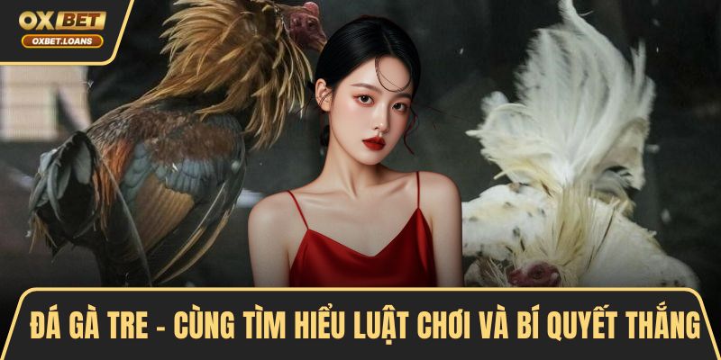 Đá gà tre