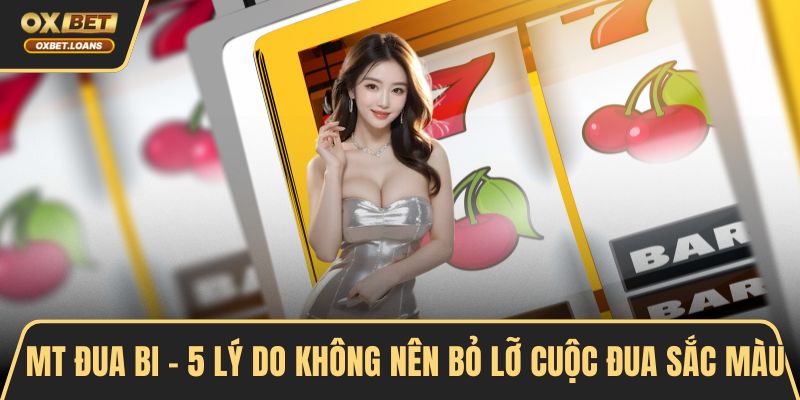 MT đua bi